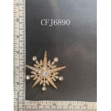 CFJ6890.JPG