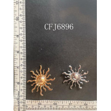 CFJ6896.JPG
