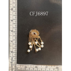CFJ6897.JPG