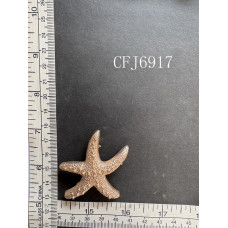 CFJ6917.JPG
