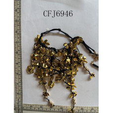 CFJ6946.JPG