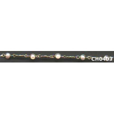 CH0403