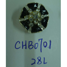 CHB0701