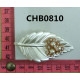 CHB0810