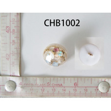 CHB1002