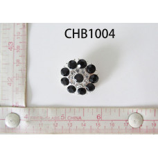 CHB1004