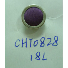 CHT0828