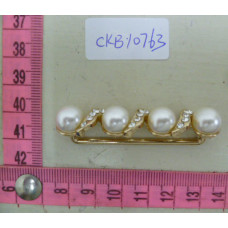 CKB10763
