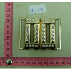 CKB11009