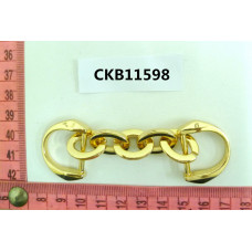 CKB11598