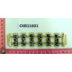 CKB11601
