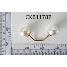 CKB11787