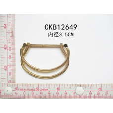 CKB12649