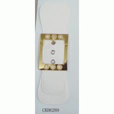 CKB6289