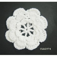 CLA2974