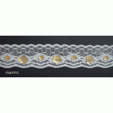 CLA3051