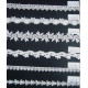 CLA4298-4303