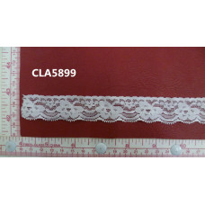 CLA5899