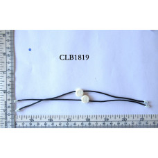 CLB1819.jpg