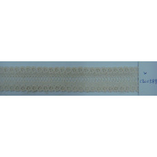 CLC0589