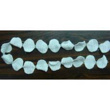 CLC1205