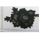 CLC2401