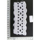 CLC2447