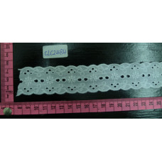 CLC2484