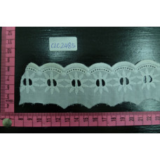 CLC2485