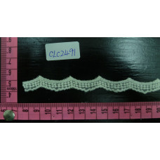 CLC2491