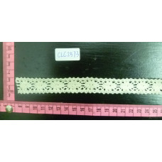 CLC2573