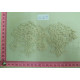 CLC2579