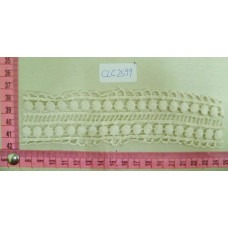 CLC2599