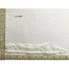 CLC3660.jpg