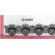 CLH1819