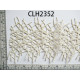 CLH2352 (2).jpg