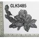 CLH3485 (2).jpg