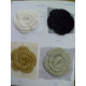 CLM0555col.1-4