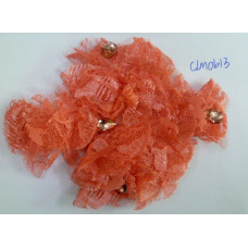 CLM0613