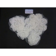 CLM0619