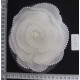 CLM0709