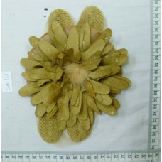 CLM0722
