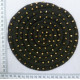 CLM0725