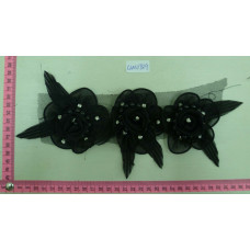 CLM0789