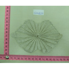 CLM0820