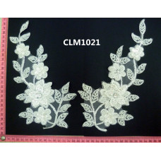 CLM1021