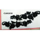 CLM1038