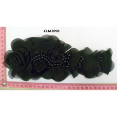 CLM1098