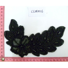 CLM1116