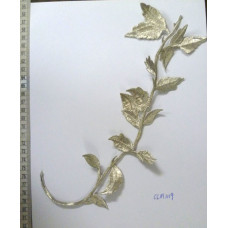 CLM1119